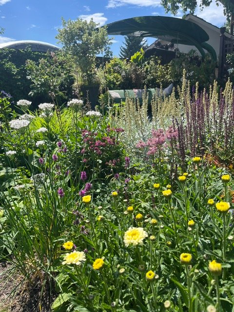 Lush perennial garden with pink, white and yellow flowers
