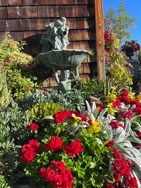 Garden fountain surrounded by colourful flowers and greenery
