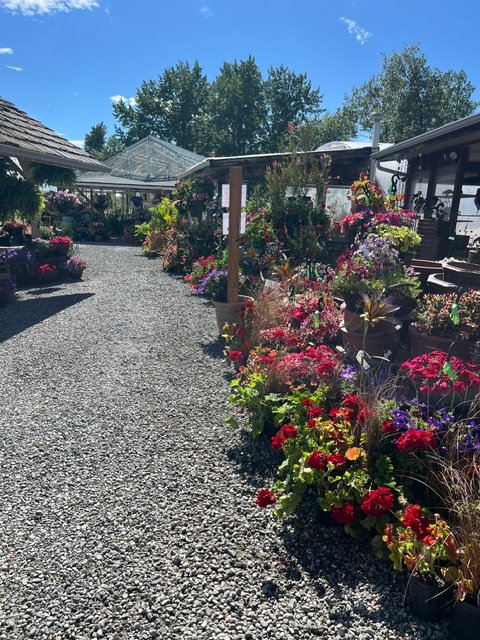 Choosing plants for a custom container at Vale's Greenhouse