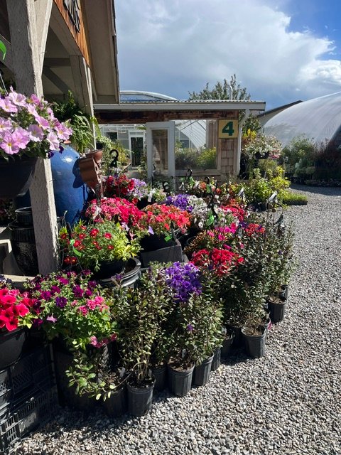 Custom planting service at Vale's Greenhouse