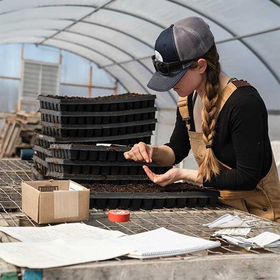 Events at Vale's Greenhouse